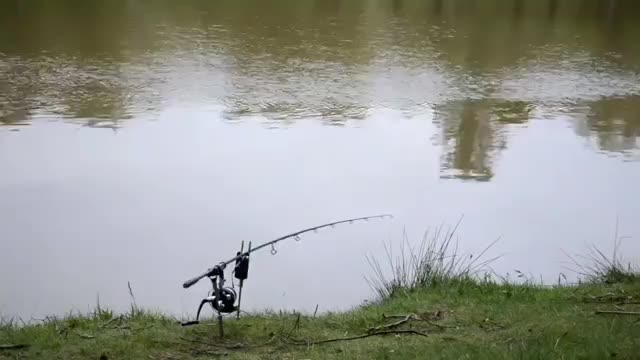 ماهیگیری انتظاری