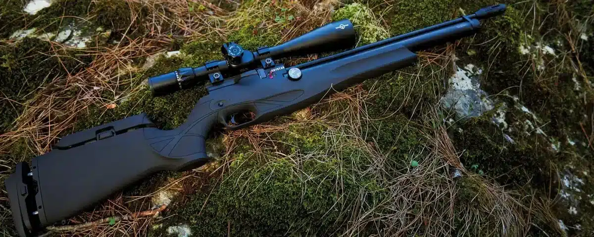 تفنگ پی سی پی رکسی مکس DAYSTAR