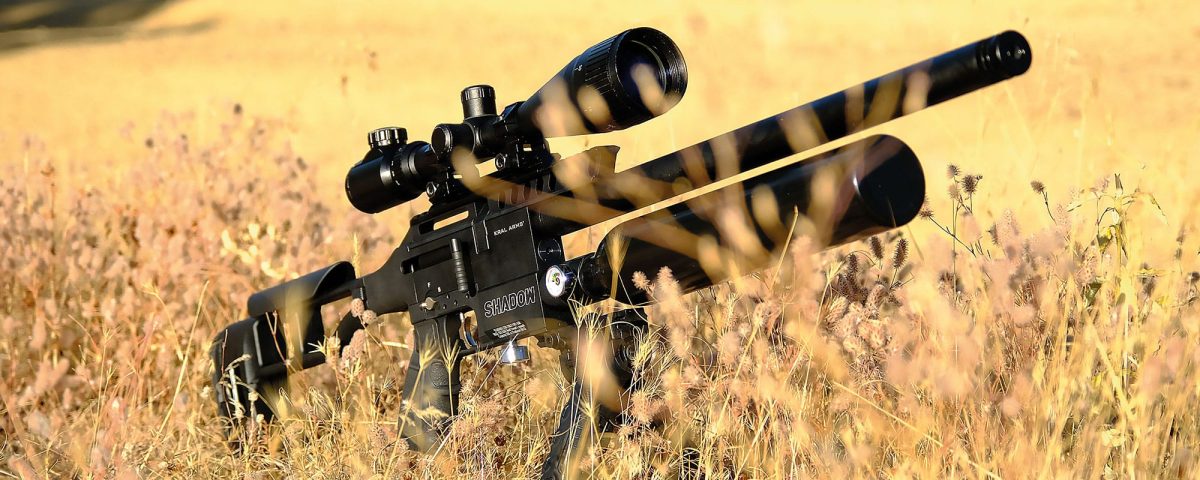 تفنگ پی‌ سی‌ پی کرال شدو (SHADOW)